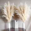 14 Stems 30" inch Dried Pampas Grass Decor Tall, Large Pompas Grass, Boho Neutral Home Decor Bouquet, Fluffy Pampass Grass for Floor Vase Wedding Floral Arrangements Wall Farmhouse Table Decor view 1