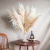 14 Stems 30" inch Dried Pampas Grass Decor Tall, Large Pompas Grass, Boho Neutral Home Decor Bouquet, Fluffy Pampass Grass for Floor Vase Wedding Floral Arrangements Wall Farmhouse Table Decor view 2