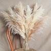 14 Stems 30" inch Dried Pampas Grass Decor Tall, Large Pompas Grass, Boho Neutral Home Decor Bouquet, Fluffy Pampass Grass for Floor Vase Wedding Floral Arrangements Wall Farmhouse Table Decor view 3