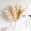14 Stems 30" inch Dried Pampas Grass Decor Tall, Large Pompas Grass, Boho Neutral Home Decor Bouquet, Fluffy Pampass Grass for Floor Vase Wedding Floral Arrangements Wall Farmhouse Table Decor view 4