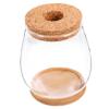 GANAZONO 1set Delicate Glass Terrarium Planter Bamboo Tray Hydroponic Landscape Bottle for Indoor Plants Compact Micro Ecosystem Decor for Home and Office view 1