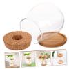 GANAZONO 1set Delicate Glass Terrarium Planter Bamboo Tray Hydroponic Landscape Bottle for Indoor Plants Compact Micro Ecosystem Decor for Home and Office view 2