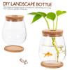 GANAZONO 1set Delicate Glass Terrarium Planter Bamboo Tray Hydroponic Landscape Bottle for Indoor Plants Compact Micro Ecosystem Decor for Home and Office view 4