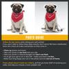 All About Vibe Custom Pillow - Personalized Custom Shaped 3D Throw Pillow, Best Gift for Pug Owners and Lovers! Made in USA - 22" Medium view 4