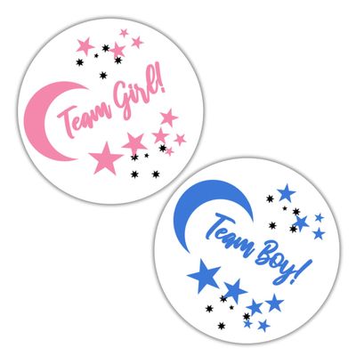 Twinkle Twinkle Little Star Gender Reveal Decorations, Stars and Moon Gender Reveal Baby Shower Stickers, Labels, Tags Team boy and Team Girl