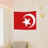 Rqwaaed Nation of Islam Flag Tapestry Perfectly Embellishes The Wall 29x37in view 4