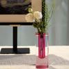 HLYU 5 Pcs Acrylic Vase Set, Bud Vase for Centerpieces, Maximalist Decor Cute Flowers Vases for Modern Home, Office, Bedroom, Living Room, Dining Table (Pink, Purple, Green, Blue, Yellow) view 2
