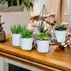 3.1" Galvanized Mini Tin Buckets  12Pcs White Metal Buckets with Handle, Ideal for Party Favors, Bridal Shower and Craft Projects (White, 3.1") view 4