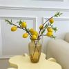 Decoration Vase Glass Vases Water Cultured Green Plants Flower Vases Dry Flowers Flower Wiping Decorations Home Furnishing Bedroom Porch Living Room Decoration Multi-Purpose Decorative view 3