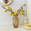 Decoration Vase Glass Vases Water Cultured Green Plants Flower Vases Dry Flowers Flower Wiping Decorations Home Furnishing Bedroom Porch Living Room Decoration Multi-Purpose Decorative view 4