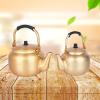 FairUo Kettles for Boiling Water, 2L/ 3L Aluminum Tea Kettle Lightly Boil Water Pot Household Gas Kettle Warm Jug Tea Pot Boil-Dry Protection, Stainless Steel Kettle/2.0L view 2