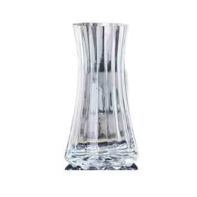 GRFIT Flower Vase Simple Vases Primary Color Glass Vases Transparent Water-Based Flowers Dry Flowers Flower Arrangement Vases Living Room Tea Table Flower Vases Vase for Decor (Color : 1, Size : M)