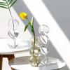 Clear Glass Bubble Hydroponic Vase, Modern Flower Vase 3/4 Ball Bud Vase Centerpiece Glass Vase, Unique Floral Vase Creative Globose Vase for Wedding Table Centerpieces Home Decoration(Golden 3 Ball) view 4