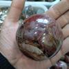 AtkitS Red Rose Petrified Wood Sphere Agate Quartz Crystal Ball view 4