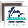 Sandy Hook Beach E New Jersey Beach Souvenir Fridge Magnet Dolphin Design Single view 1
