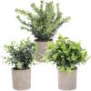 VOSAREA 3pcs Artificial Eucalyptus Plants Rustic for Home Office and Table Centerpiece Decor Lifelike Faux Greenery for Minimal Space and Natural Look view 1