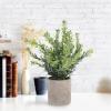 VOSAREA 3pcs Artificial Eucalyptus Plants Rustic for Home Office and Table Centerpiece Decor Lifelike Faux Greenery for Minimal Space and Natural Look view 3