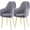 Modern Kitchen Dining Room Chairs Velvet Dining Chairs Set of 2 with Metal Feet Armrest Backrest Lounge Chair Cushion Removable and Washable (Color : Dark Gray) view 1