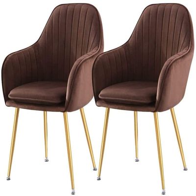 Modern Kitchen Dining Room Chairs Velvet Dining Chairs Set of 2 with Metal Feet Armrest Backrest Lounge Chair Cushion Removable and Washable (Color : Brown)