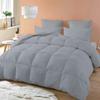 Balsara's Comforter - 100% Egyptian Cotton 800 Thread Count 400GSM Fiber Fill 1Pcs Comforter, Grand King Size (106" x 106") Inch, Silver Solid view 1