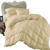 Balsara's Comforter - 100% Egyptian Cotton 800 Thread Count 400GSM Fiber Fill 1Pcs Comforter, Grand King Size (106" x 106") Inch, Ivory Solid view 2