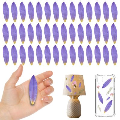 HEISENLIN Purple Dried Water-Lily Flower Petals for Resin Crafts, 42PCS Natural Real Pressed Dry Water-Lily Flowers for Resin DIY Jewellery Ornament Crafts Candle Making Phone Case Home Decor
