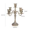 Tyenaza Candelabra, Metal Candle Stand Zinc Alloy Delicate Decorative Retro Candelabra for Dinner Table Fireplace Wedding view 2