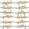 12 Pieces Christmas Word Wood Cutout Joyful Merry Thankful Grateful Blessed Peace Gather Word Sign Christmas Plate Cutout Rustic Merry Signs for Home Table Plate Decoration, Cute Style view 1