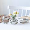 Modern Decorative Mini Flowers Vases, Glass Bud Vase Set of 3, Cute Small Clear Vases, Handmade Glass Flower Vase for Floral Arrangements, Tiny Centerpiece for Home Office Wedding Party(gray) view 3