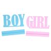 NDNCZDHC Boy and Girl Gender Reveal Table Decorations Wooden Signs for Baby Shower Gender Reveal Party Supplies view 3