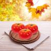 DECHOUS 4Pcs Artificial Tomatoes, Fake Tomatoes Artificial Vegetable for Decoration Lifelike Artificial Tomatoes Realistic Photo Prop for Home Kitchen Christmas Party view 3