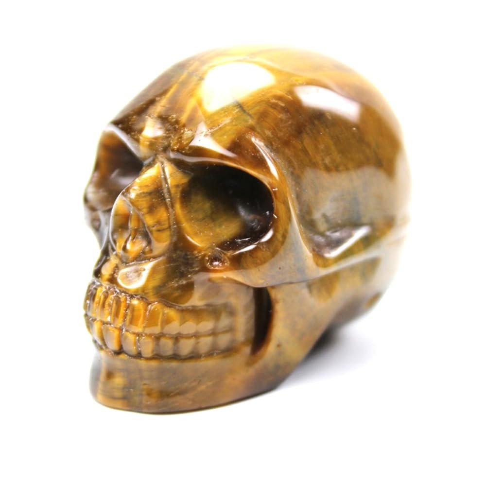 2" Natural Rock Quartz Crystal Skull Head,Skull Crystal Fine Art Sculpture,Hand Carved Gemstone Skull Figurine Stone for Halloween Reiki Healing Crystal Home Decoration (Tiger Eye Stone)