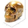 2" Natural Rock Quartz Crystal Skull Head,Skull Crystal Fine Art Sculpture,Hand Carved Gemstone Skull Figurine Stone for Halloween Reiki Healing Crystal Home Decoration (Tiger Eye Stone) view 2