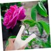 Professional Rose Prickle Remover Tool for Flowers and Plants view 3
