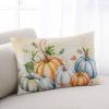 T&H XHome Pillow Covers 12x20 Inch Fall Thanksgiving Orange Blue Grey Pumpkin Autumn Harvest Soft Brushed Microfiber Pillowcases with Hidden Zipper Closure Bed Pillow Shams for Bedroom Sofa Car view 1