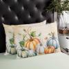 T&H XHome Pillow Covers 12x20 Inch Fall Thanksgiving Orange Blue Grey Pumpkin Autumn Harvest Soft Brushed Microfiber Pillowcases with Hidden Zipper Closure Bed Pillow Shams for Bedroom Sofa Car view 3