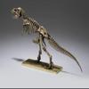 tongshifu Bronze Sculpture Dinosaur Skeleton Home Decoration Decorative Arts and Crafts view 1