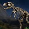tongshifu Bronze Sculpture Dinosaur Skeleton Home Decoration Decorative Arts and Crafts view 2