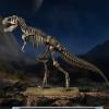tongshifu Bronze Sculpture Dinosaur Skeleton Home Decoration Decorative Arts and Crafts view 3