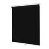 Boolegon Blackout Roller Blinds for Windows, Cordless Pull Down Roller Shades Thermal Insulated UV Protection Fabric Blinds for French Door, Living Room, Black, 48" W x 30" H view 1