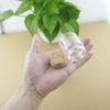 10PCS Wine Corks,Natural Small Sealing Lid Reusable Functional Portable Sealing Stopper for Kitchen Accessories(5) view 3