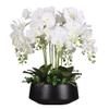 Artificial Flower in Pot Orchids Artificial Silk Flowers Phalaenopsis - Orchid Faux Flowers in Black Ceramic Pot - Wedding Party Dining Table Centerpiece Decor Artificial Plant Flower Arrangement view 1