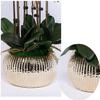 Artificial Phalaenopsis With Vase Artificial Orchid Bonsai Artificial Fake Plant Dining Room Table Centerpiece Wedding Decorations Living Room Arrangement Decor Artificial Plant Flower Arrangement ( C view 4