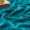 BEDELITE Fleece Blanket Twin Size Bluebird Throw Blankets for Couch & Bed, 300GSM Luxury Plush Cozy Fuzzy Blanket 60x80 inches, Super Soft Warm Lightweight Throw Blanket for Travel Camping view 3