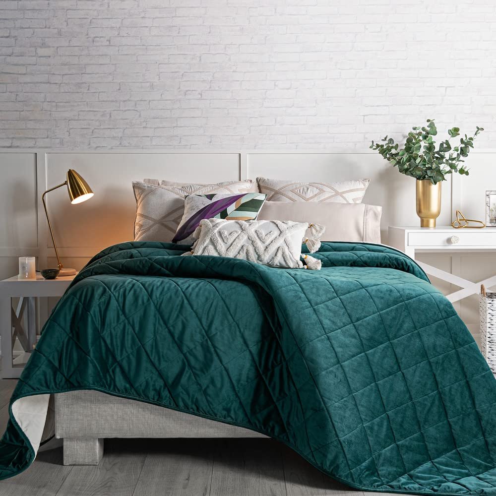 Vianney Voga Emerald Queen Size Comforter - Premium Velvet Fabric with Reversible Emerald Green and Gray Colors - Soft, Cozy Throw for Couch or Bed - Lightweight Blanket for Year-Round Comfort