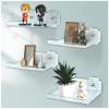 DingCo Floating Acrylic Shelves, 8X6 Inch Clear Wall Shelf, Small Plant Shelves, Picture and Toy Display Stand (No Drill, 4 Pack) view 1