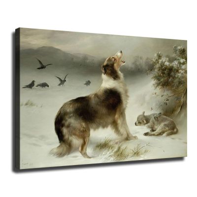 Collie Dog Lamb Print by Walter Hunt Poster Canvas Print Painting Picture Wall Art Bedroom Living Room Decor (unframe,24x36 inch)