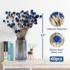 40 Pcs Natural Blue Dried Thistle Flowers Bouquet, Bulk Dried Craspedia Billy Balls Button Plant, 17'' DIY Floral Arrangements for Home Boho Kitchen Table Wedding Vase Decor view 2
