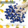 40 Pcs Natural Blue Dried Thistle Flowers Bouquet, Bulk Dried Craspedia Billy Balls Button Plant, 17'' DIY Floral Arrangements for Home Boho Kitchen Table Wedding Vase Decor view 3