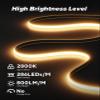 Shine Decor COB LED Rope Light AC 120V, 800lm Ultra Bright, IP65 Waterproof Cold-Resistant ETL Neon Strip, No Driver Tape Lighting for Home Commercial 10x4.5mm, 2800K Warm White, 131.2ft view 2